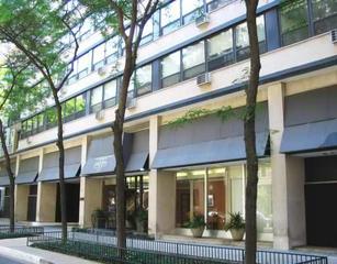 33 E Cedar #17A, Chicago, IL 60611