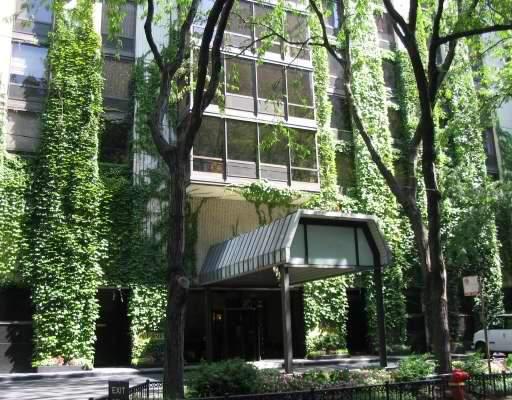 100 E Bellevue #22F, Chicago, IL 60611