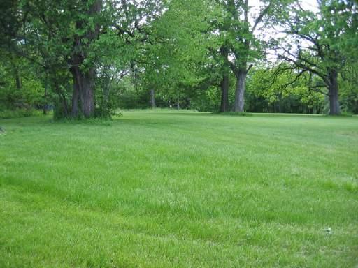 1700 East Road Lot  2, Martinton, IL 60951