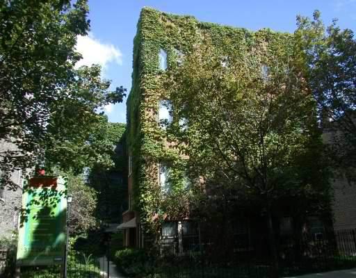 1024 W Dakin St. #3E, Chicago, IL 60613