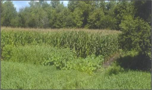Rt. 52 Hwy., Newark, IL 60541