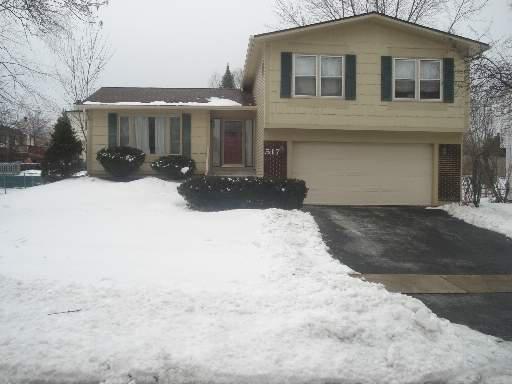 517 Whitehall Way, Bolingbrook, IL 60440