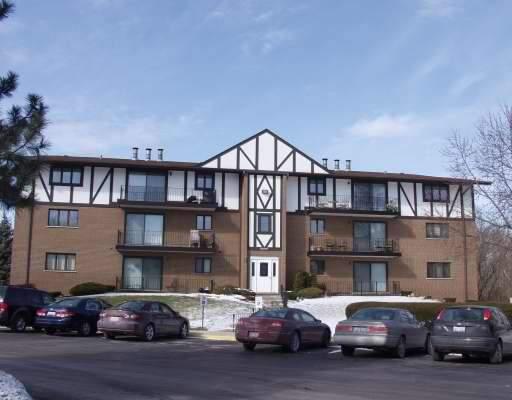 11000 Theresa Circle Dr. #3C, Palos Hills, IL 60465
