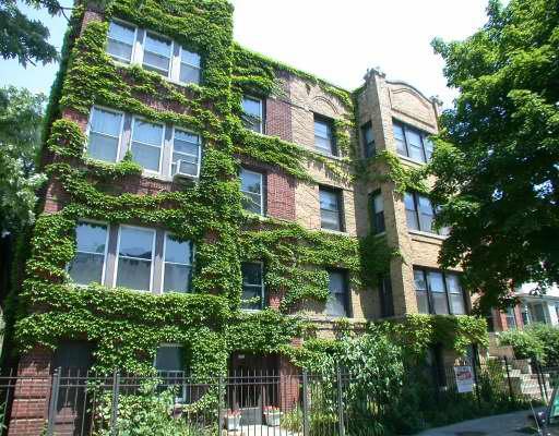1120 W Addison St., Chicago, IL 60613
