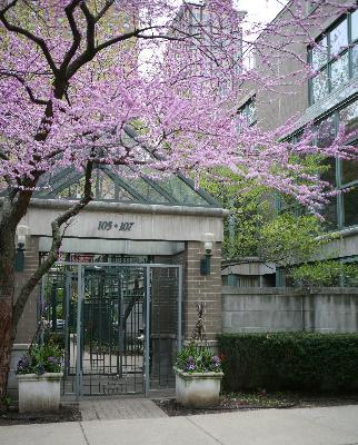 107 W Delaware Pl. #B, Chicago, IL 60610