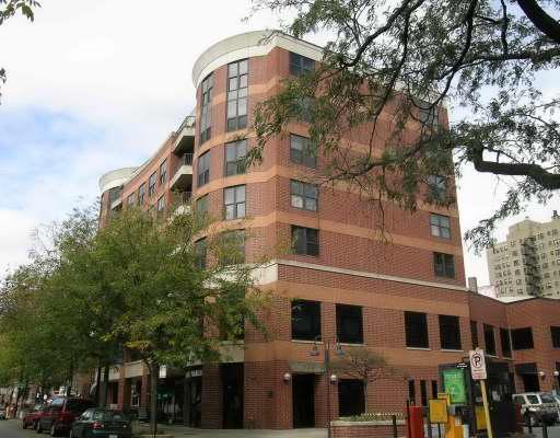 350 W Belden Ave. #502, Chicago, IL 60614