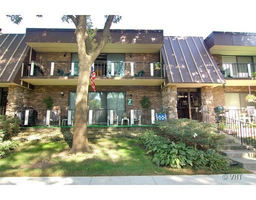 11139 S O'gorman Dr. #2N, Palos Hills, IL 60465