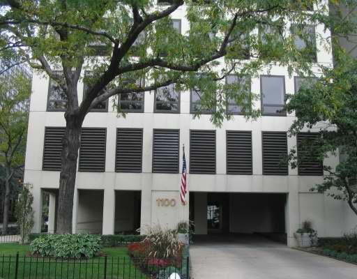 1100 N Lake Shore Dr. #21A, Chicago, IL 60611