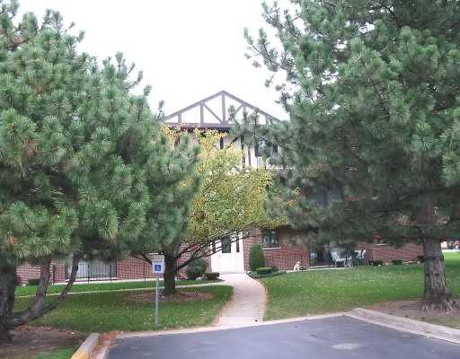 11042 Theresa Cir. #2B, Palos Hills, IL 60465