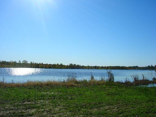 27 Scarlet Dr., Carrier Mills, IL 62917