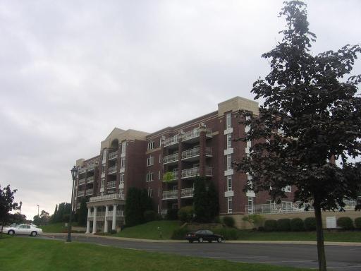 7081 W Touhy Ave. #205, Niles, IL 60714