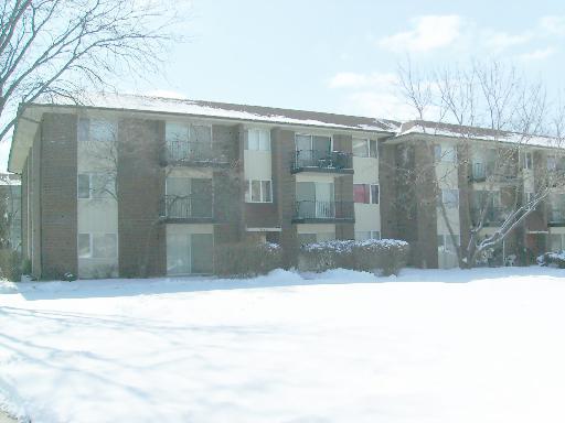 5S066 S Pebblewood Ln. #B3, Naperville, IL 60563