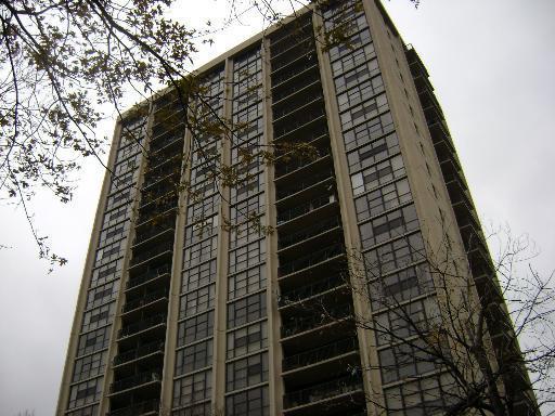 2901 S Michigan Ave. #1202, Chicago, IL 60616