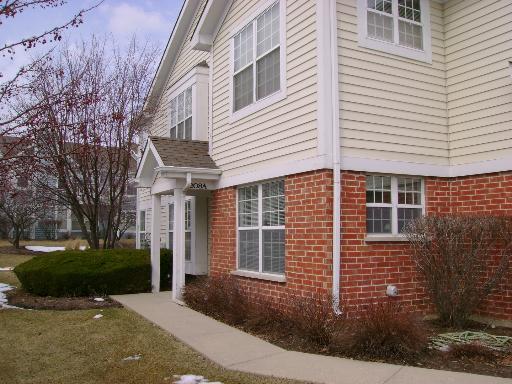 208 Westminster Ct. #A, Schaumburg, IL 60193