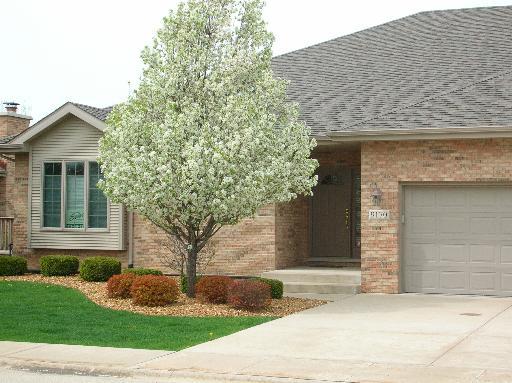 9170 Arbour Walk Dr., Frankfort, IL 60423