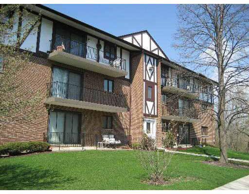 11036 S Theresa Cir. #2A, Palos Hills, IL 60465