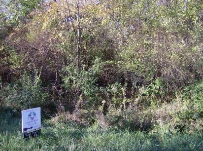 21 Timberlane Dr., Putnam, IL 61540