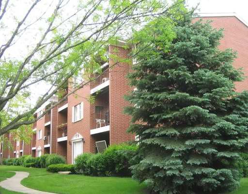 491 Leslie Ct. #302, Des Plaines, IL 60016