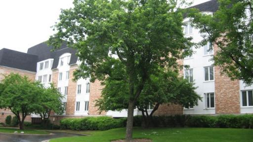 200 Lake Blvd. #418, Buffalo Grove, IL 60089