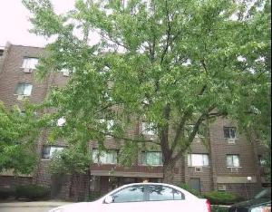 8444 W Wilson Ave. #405, Chicago, IL 60640