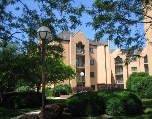 7410 W Lawrence Ave. #313, Harwood Heights, IL 60706