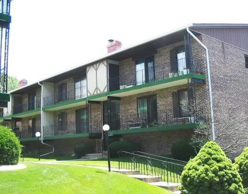 11324 Moraine Dr. #F, Palos Hills, IL 60465