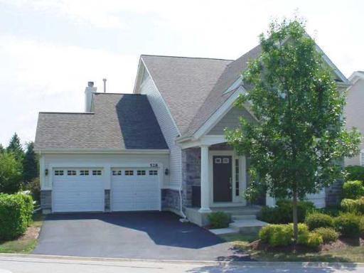 528 Savoy Ct., Indian Creek, IL 60061