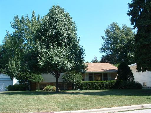 13 N Grace St., North Aurora, IL 60542