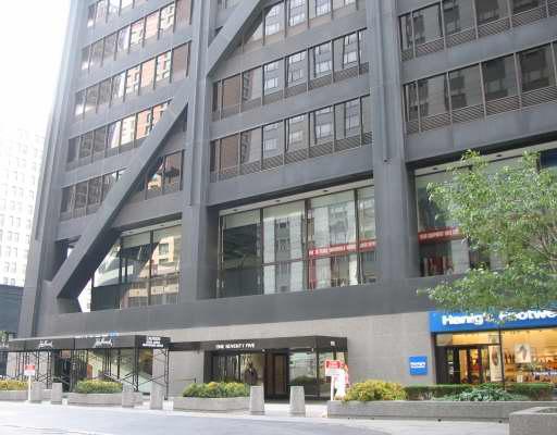 175 E Delaware Pl. #6204, Chicago, IL 60611