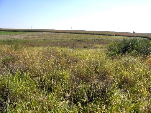 1002 N 25th Rd., Oglesby, IL 61348