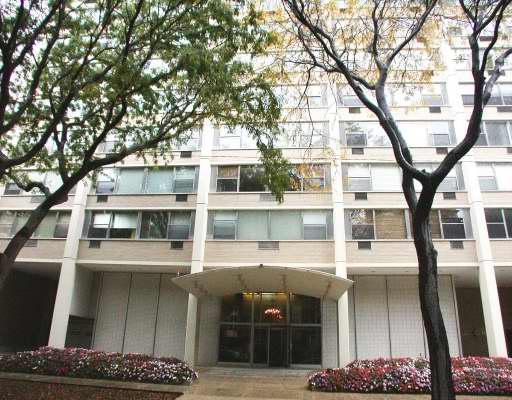 336 W Wellington Ave. #1102, Chicago, IL 60657