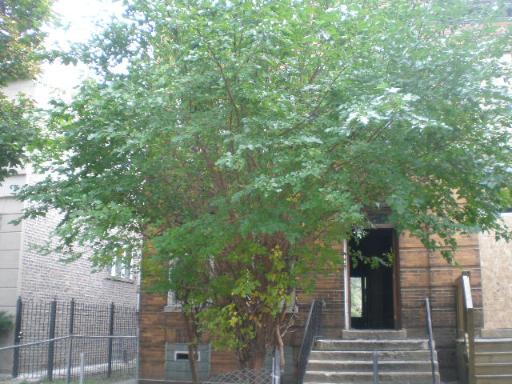 179 N Leamington Ave., Chicago, IL 60651