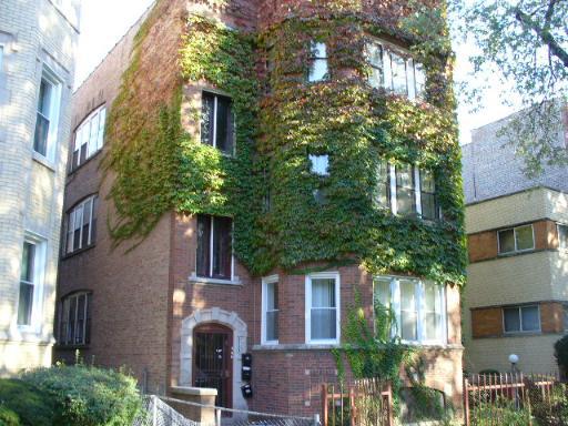 8235 S Drexel, Chicago, IL 60619