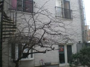 1234 N Dearborn Ave. #CH, Chicago, IL 60610