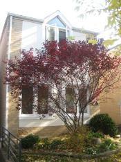 2429 N Marshfield St., Chicago, IL 60614