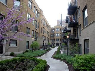 1229 W Greenleaf Ave. #3N, Chicago, IL 60626