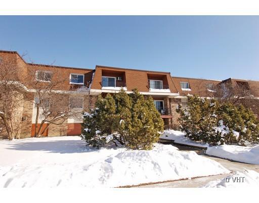 1065 Valley Ln. #308, Hoffman Estates, IL 60194