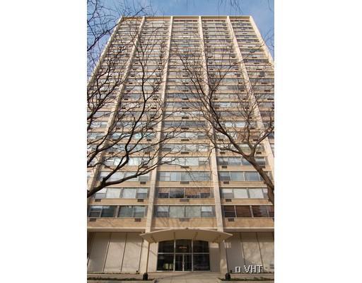 336 W Wellington Ave. #1102, Chicago, IL 60657