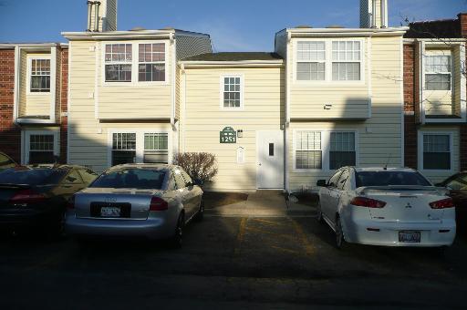 1251 Wyndham Dr. #203, Palatine, IL 60074