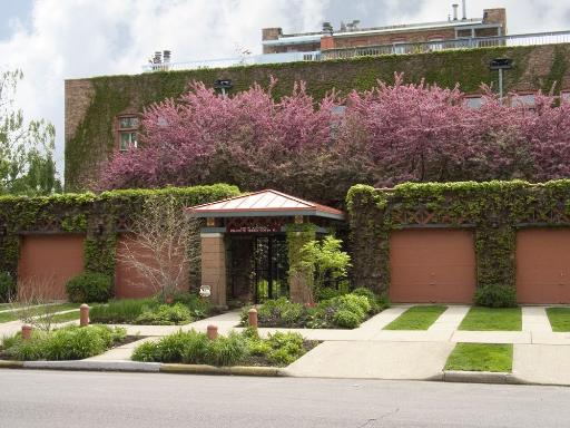 1749 W Altgeld #F, Chicago, IL 60614