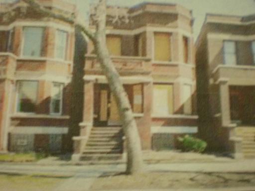 5629 S Wood Ave., Chicago, IL 60636