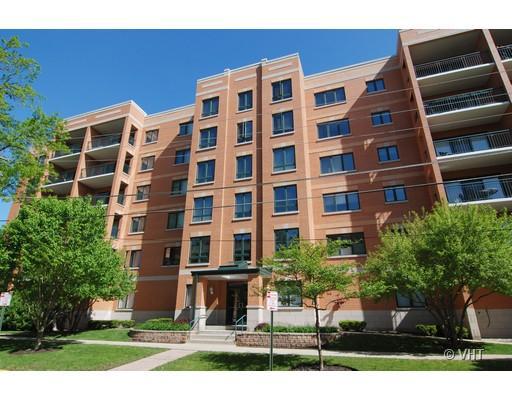 1636 Ashland Ave. #202, Des Plaines, IL 60016