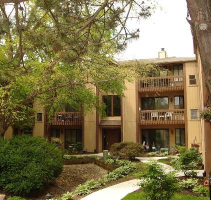 123 Olesen Dr. #3L, Naperville, IL 60540