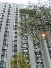 1221 N Dearborn Ave. #608N, Chicago, IL 60610