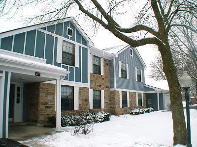 277 Stonehill Ln. #B1, Schaumburg, IL 60193
