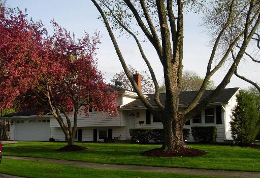 308 S Tamarack Ave., Naperville, IL 60540