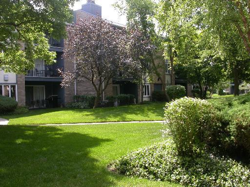 2109 Ammer Ridge Ct. #101, Glenview, IL 60025