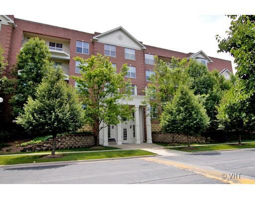 3125 Town Square Dr. #307, Rolling Meadows, IL 60008