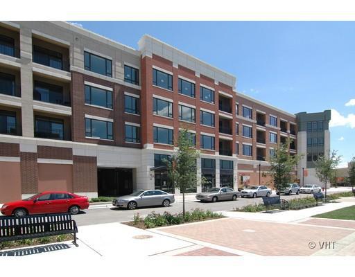 850 Village Center Dr. #206, Burr Ridge, IL 60527