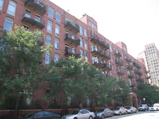 550 N Kingsbury Ave. #207, Chicago, IL 60654
